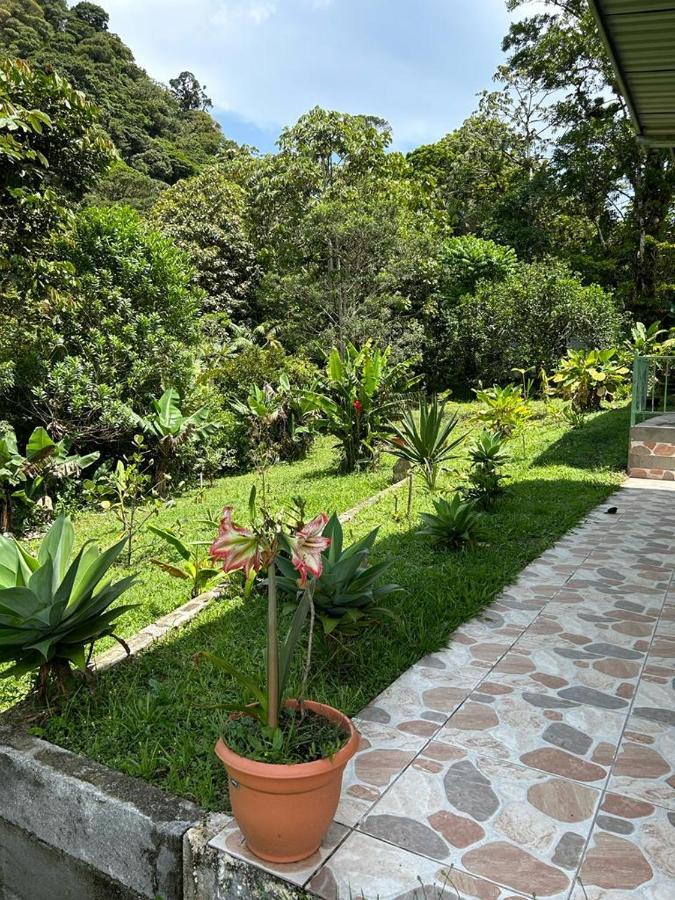 Selvatica Del Toro Apartment Bajos del Toro Exterior photo